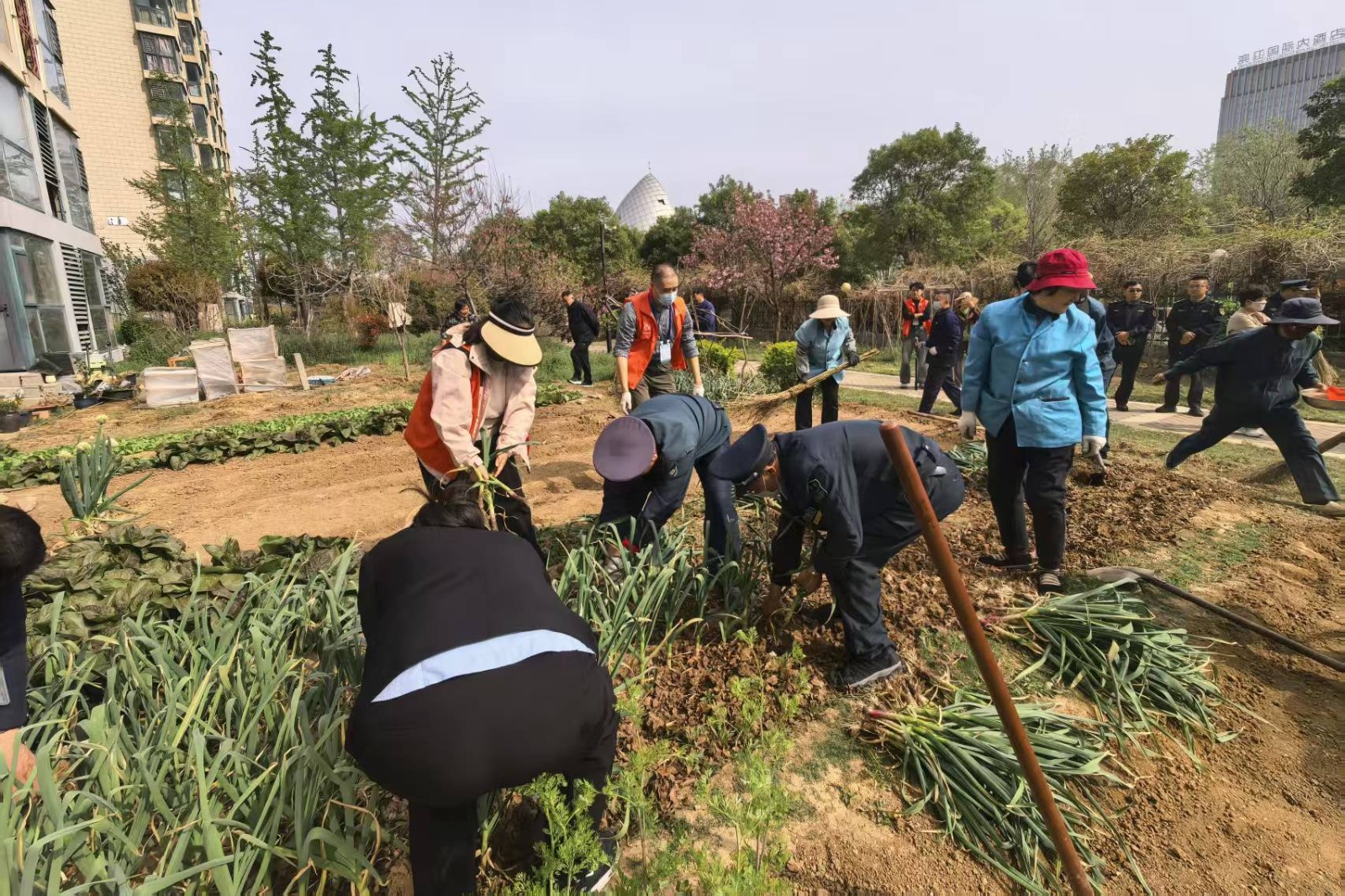 微信图片_20260403173522_250_655