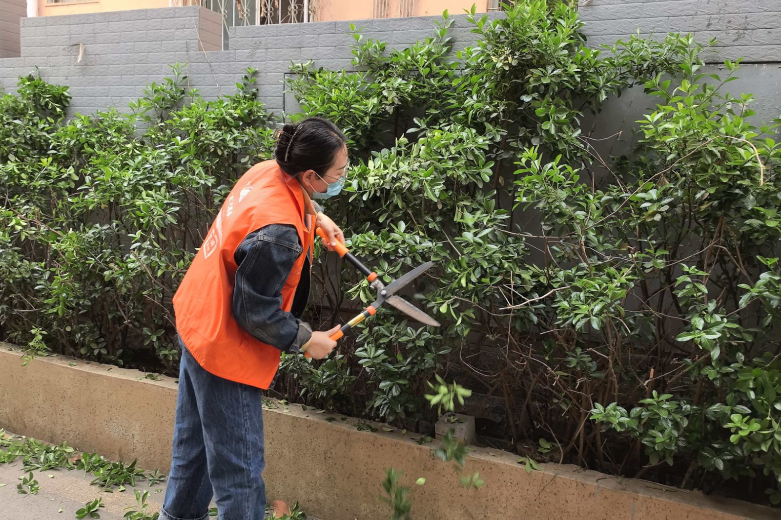 微信图片_20260408170106_694_248_副本