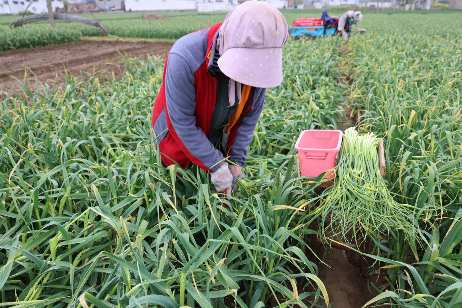 75e8a23e4ed9389b18d247d3a2a29e75