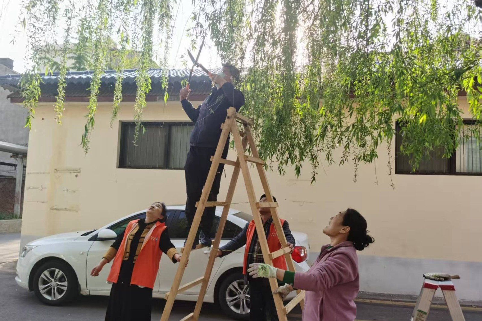 微信图片_20260408170059_690_248_副本