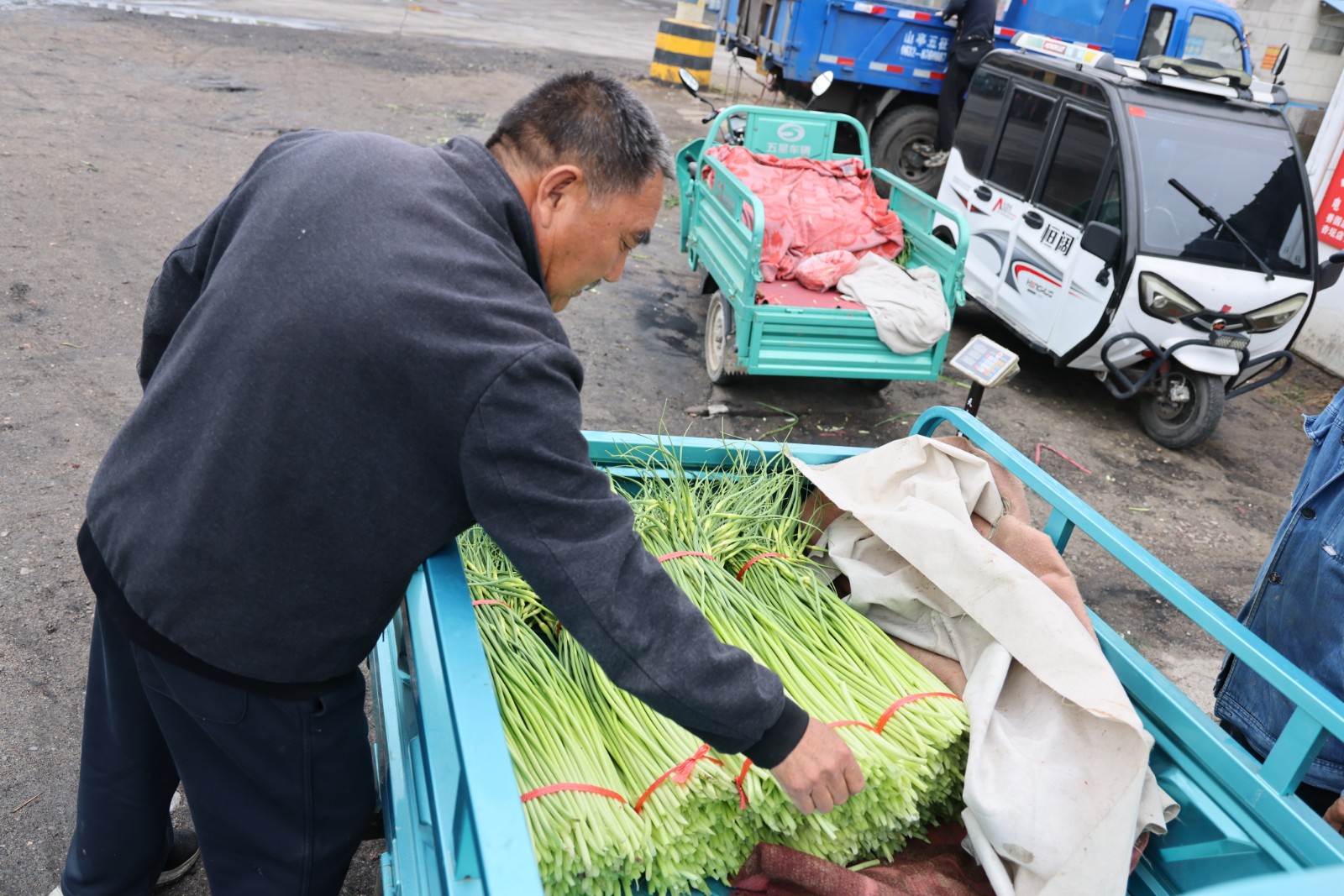 f0cbd433687fdc36e36d045713e0f30a