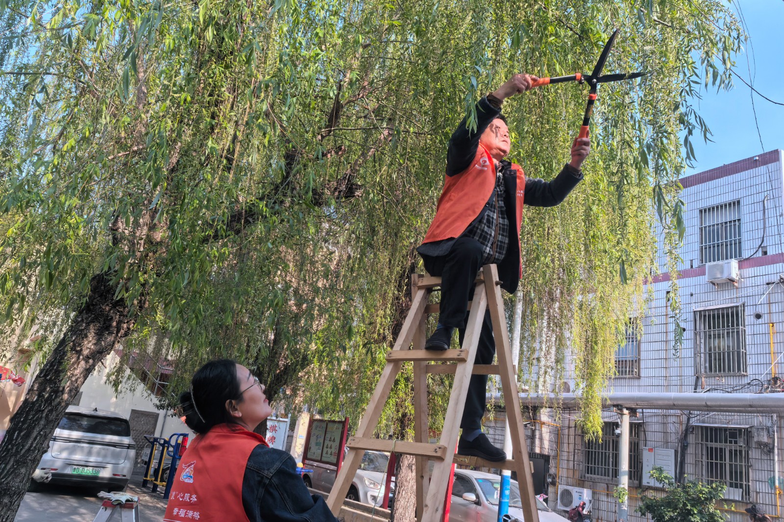 微信图片_20260408170101_691_248_副本