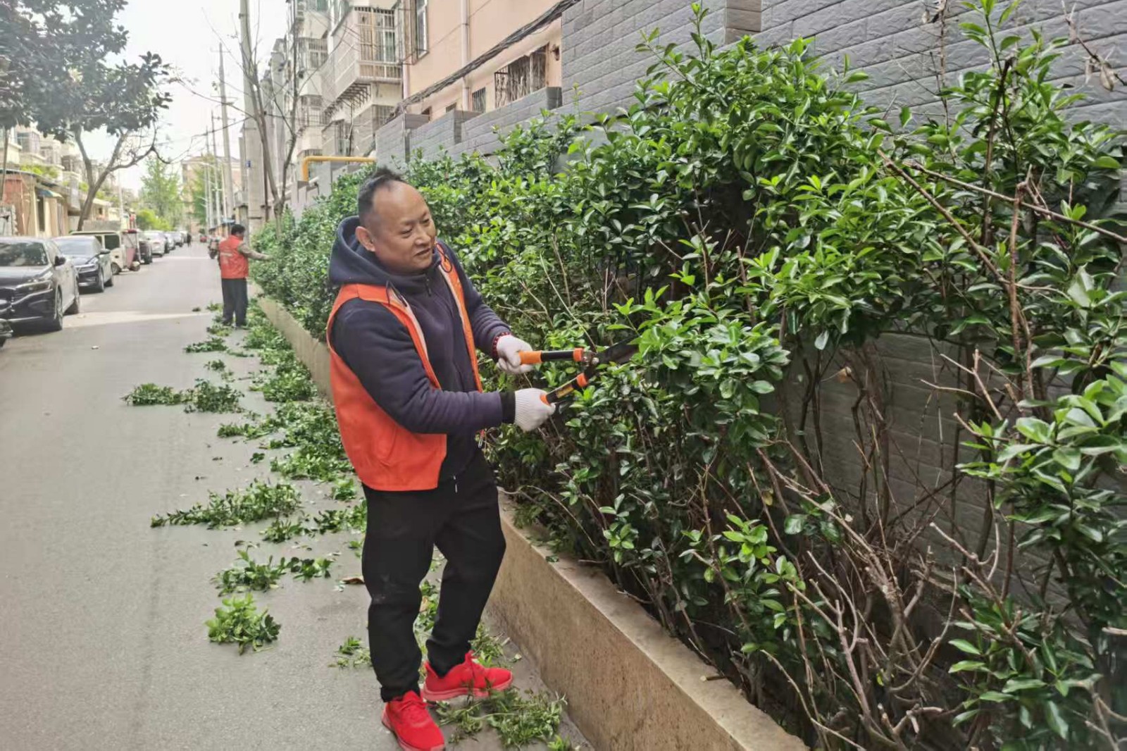 微信图片_20260408170105_693_248_副本