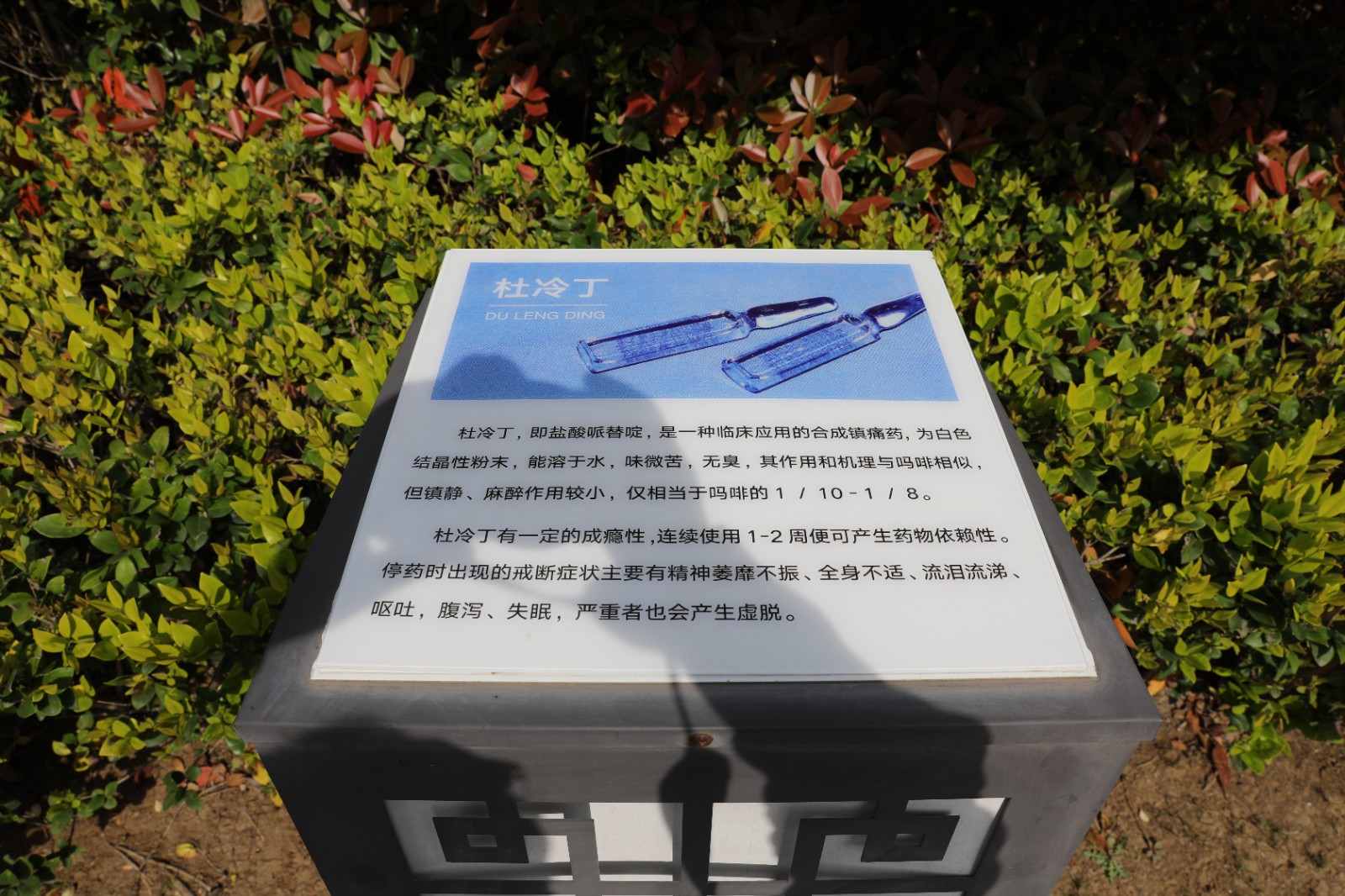 微信图片_20260415162321_1361_6