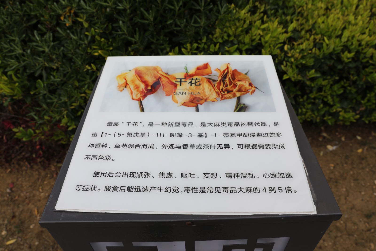 微信图片_20260415162341_1372_6