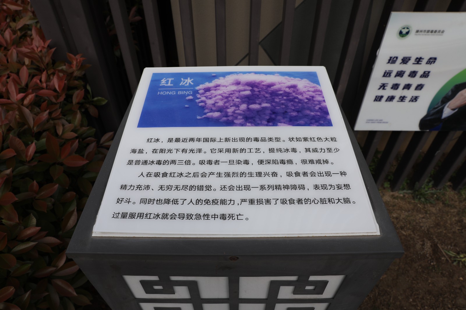 微信图片_20260415162317_1359_6