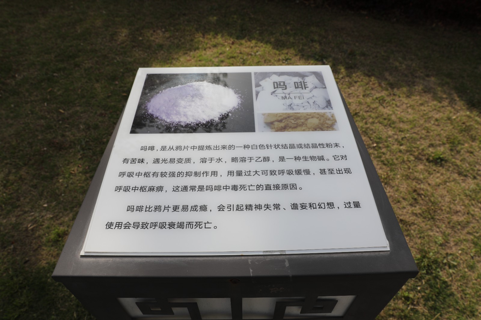 微信图片_20260415162309_1354_6