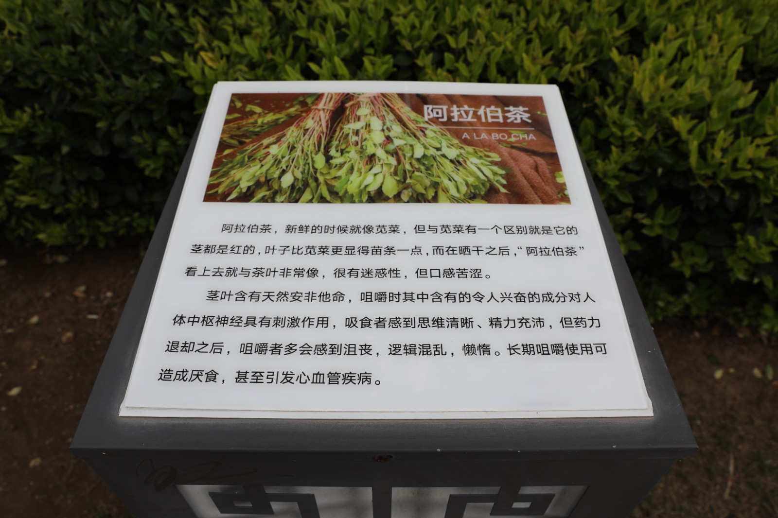 微信图片_20260415162343_1373_6