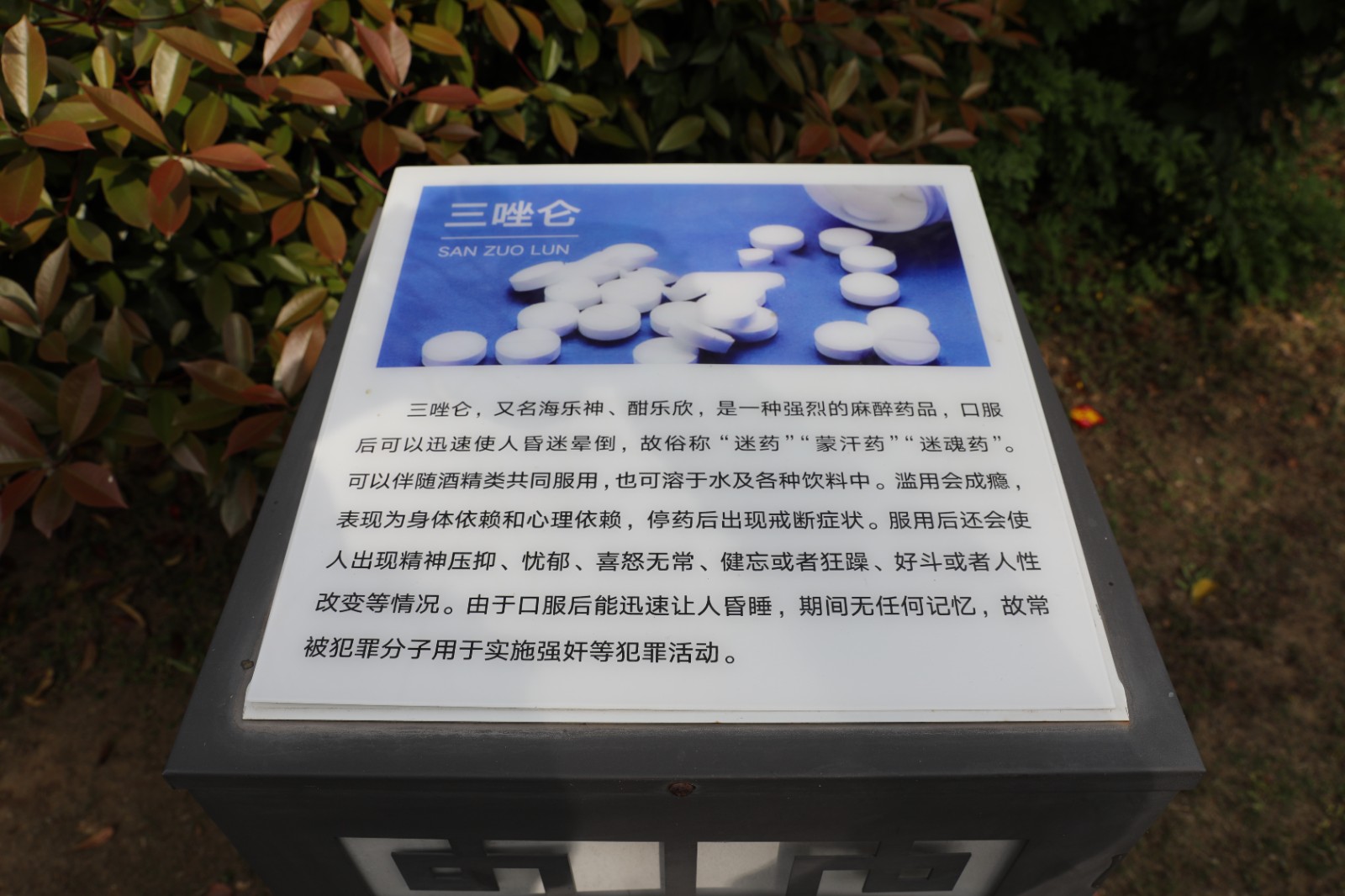 微信图片_20260415162349_1376_6