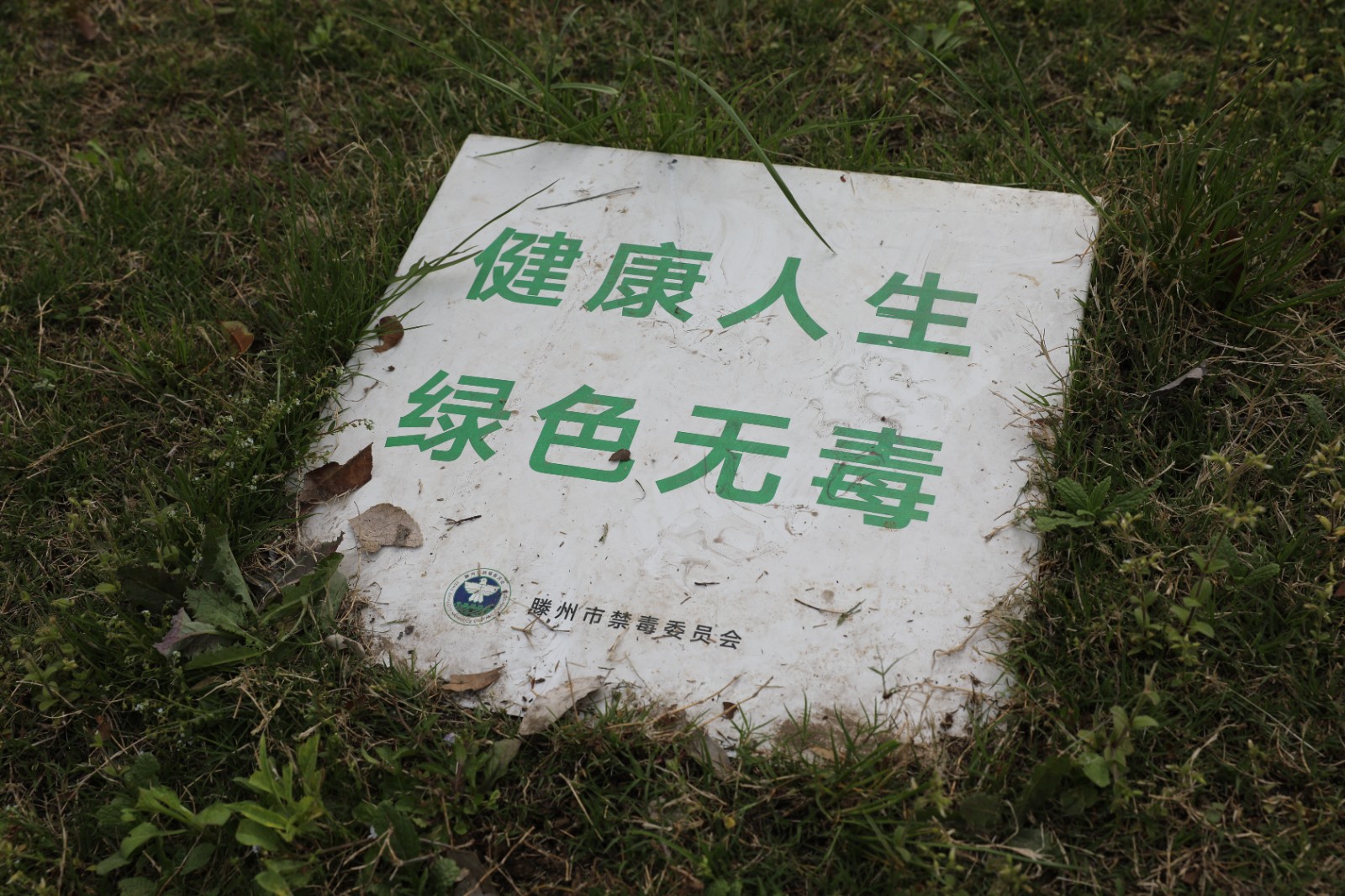 微信图片_20260415162352_1378_6