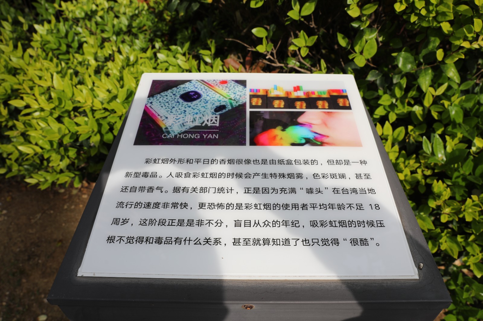 微信图片_20260415162345_1374_6