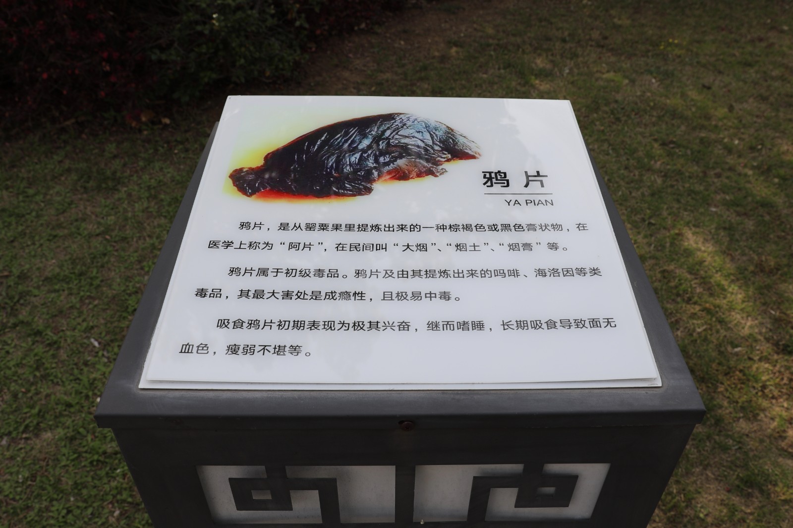 微信图片_20260415162307_1353_6