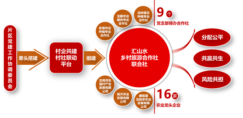 图6“党组织+合作社+企业+农户”发展模式