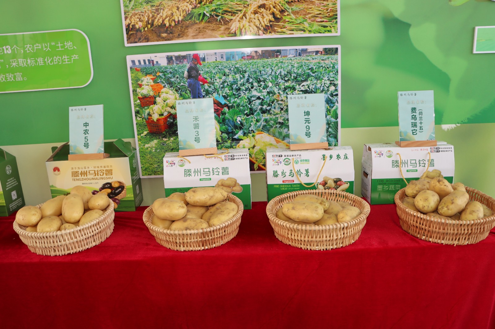 50c4382a1db4180df2316e64ed34c4cd