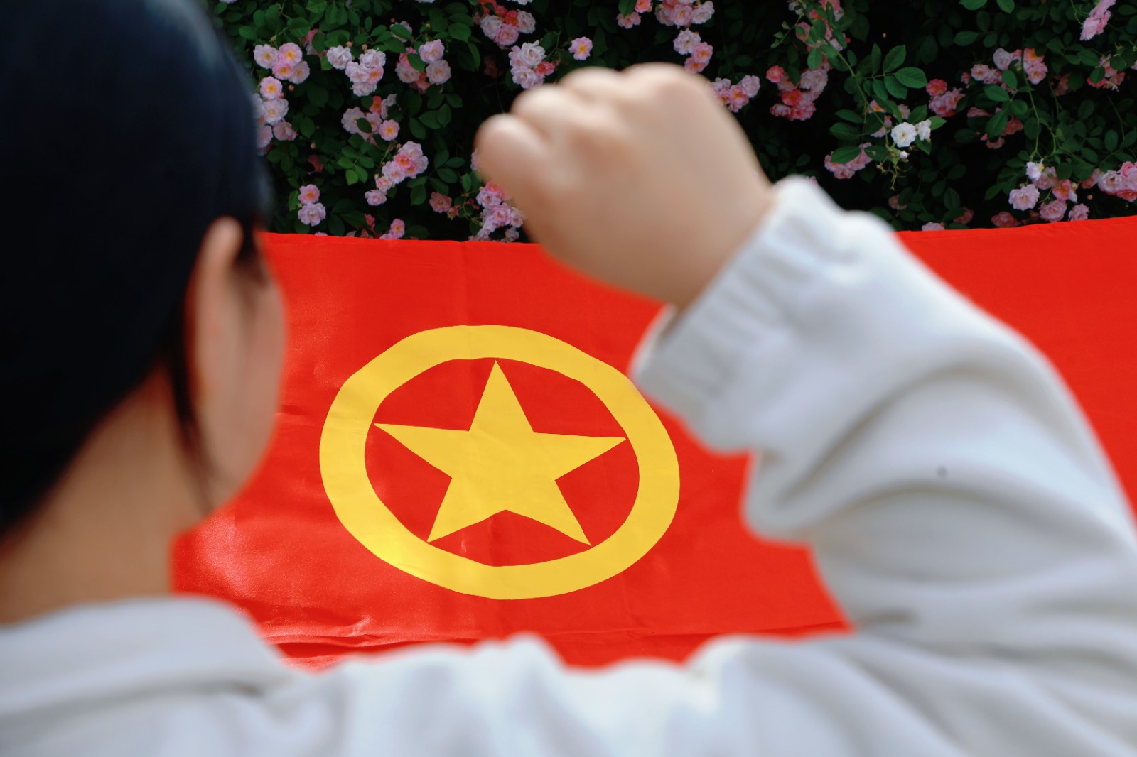 微信图片_20260428145812_44_392