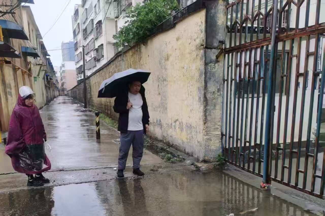 南秦