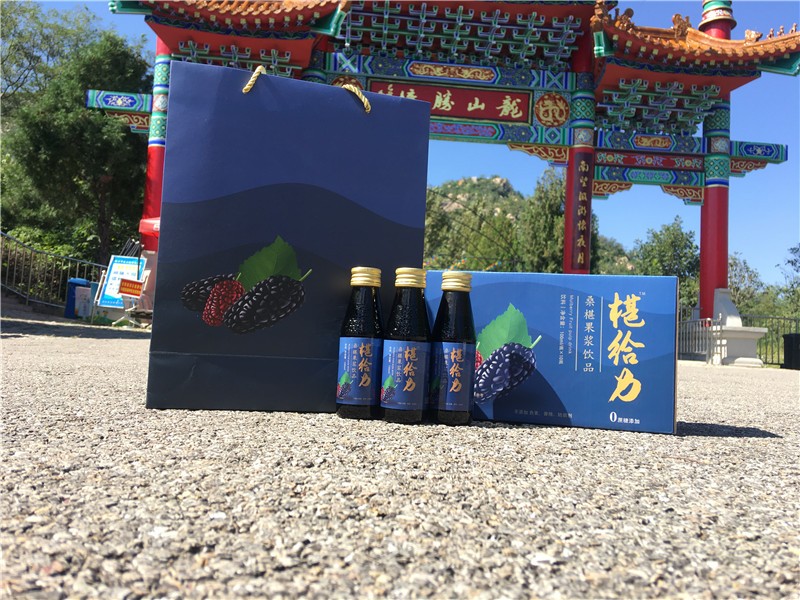 “椹给力”桑葚果浆饮品在第十七届中国林产品交易会荣获银奖