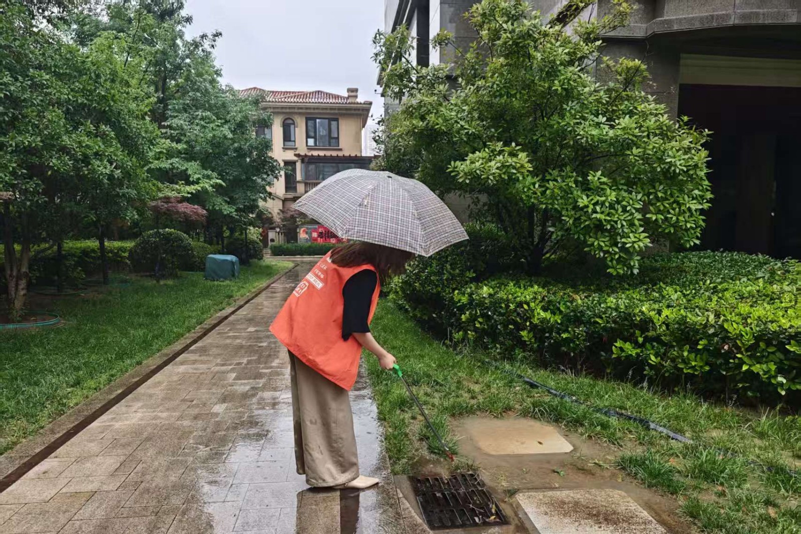滨江