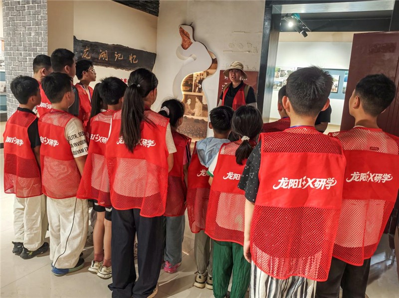图片8
