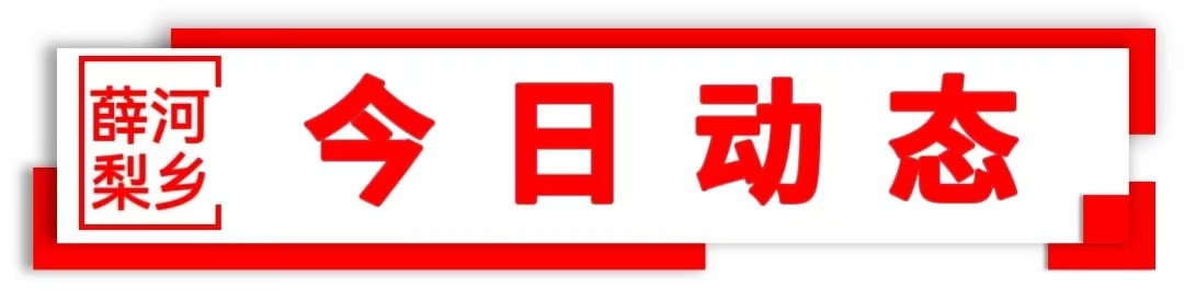 横版今日动态