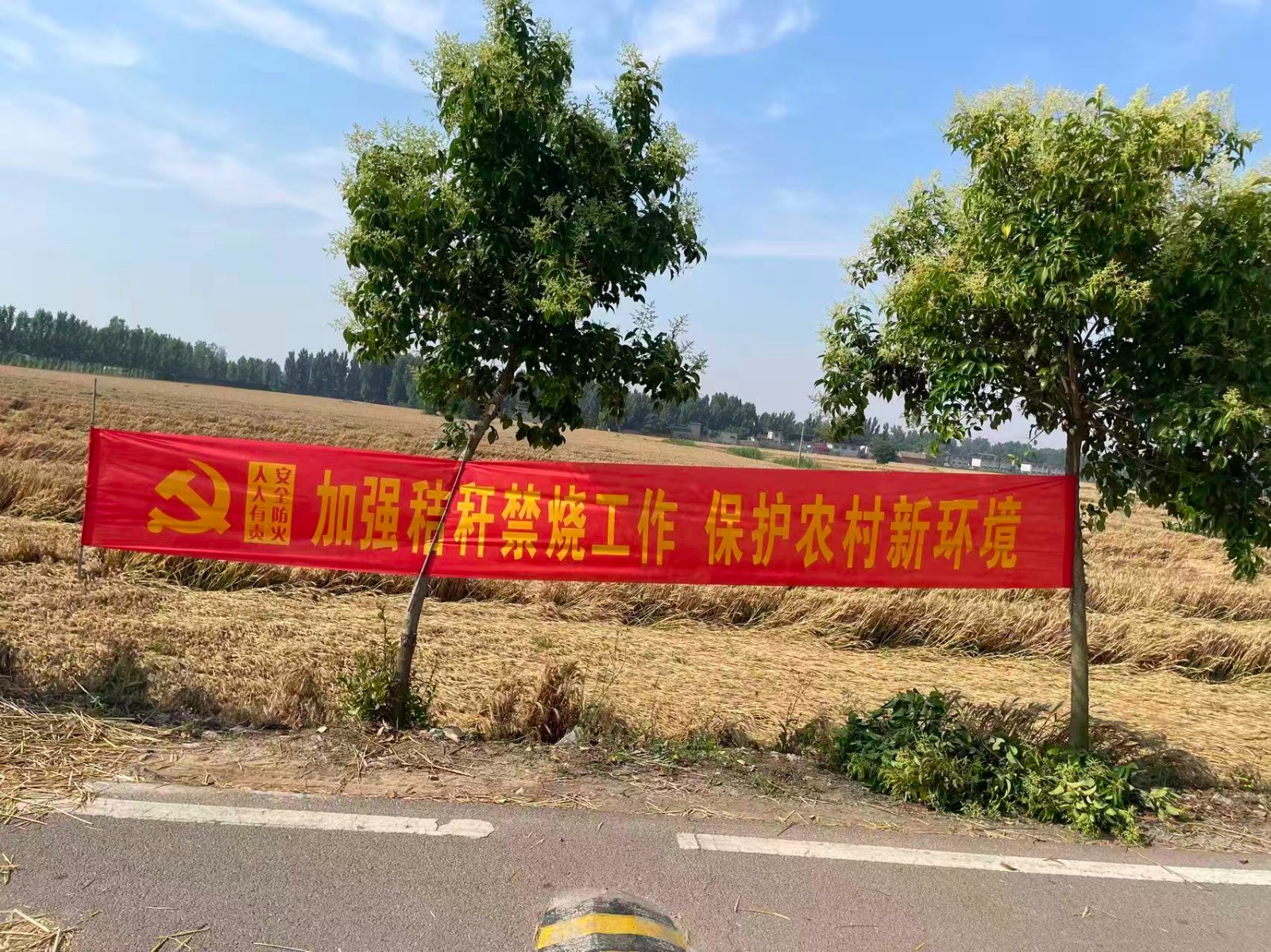 微信图片_20260601170407