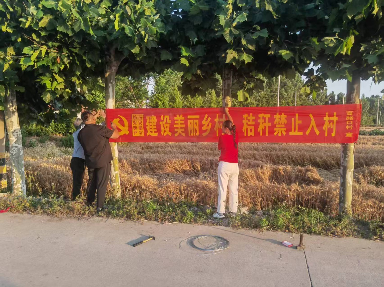 微信图片_20260601170359