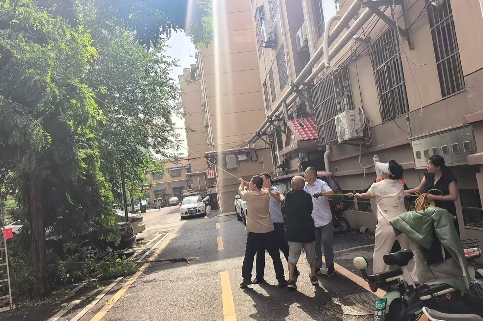 微信图片_20260604091630_7580_248_副本