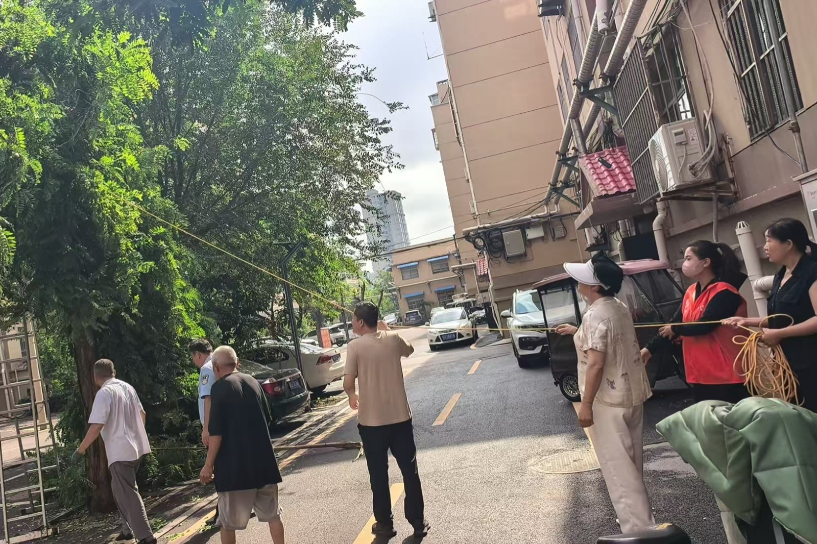 微信图片_20260604091631_7581_248_副本