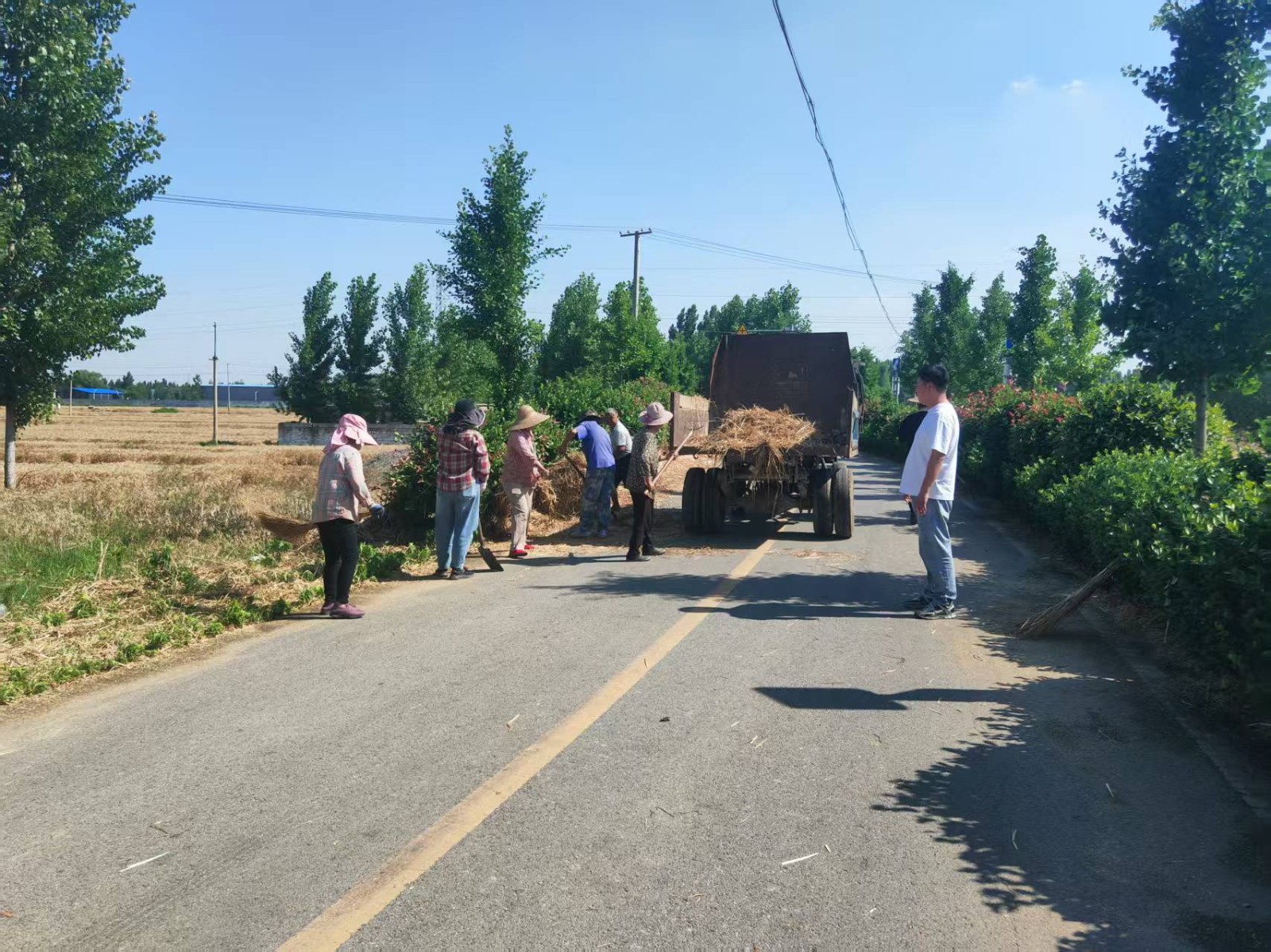 官路口清理道路两侧秸秆