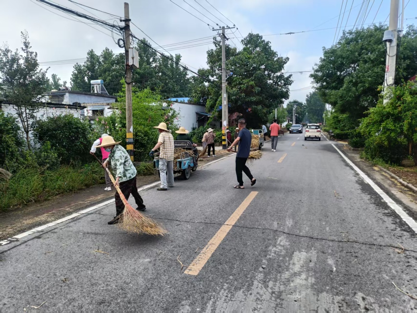 柴胡店总支组织人员清理路边秸秆