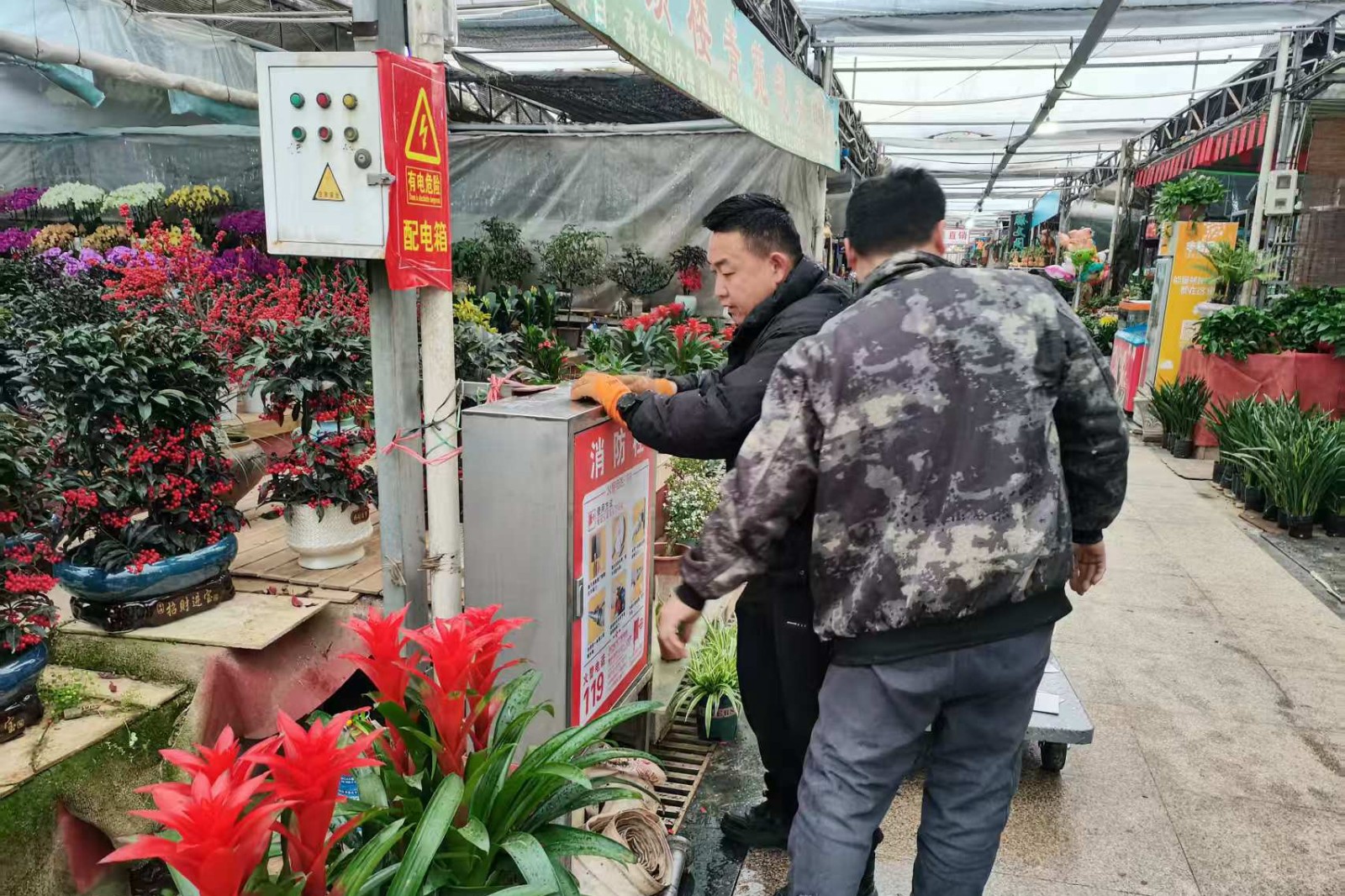 微信图片_2026-06-01_094812_596_副本
