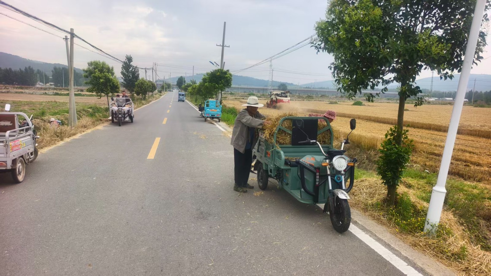 大官片区清理路边秸秆