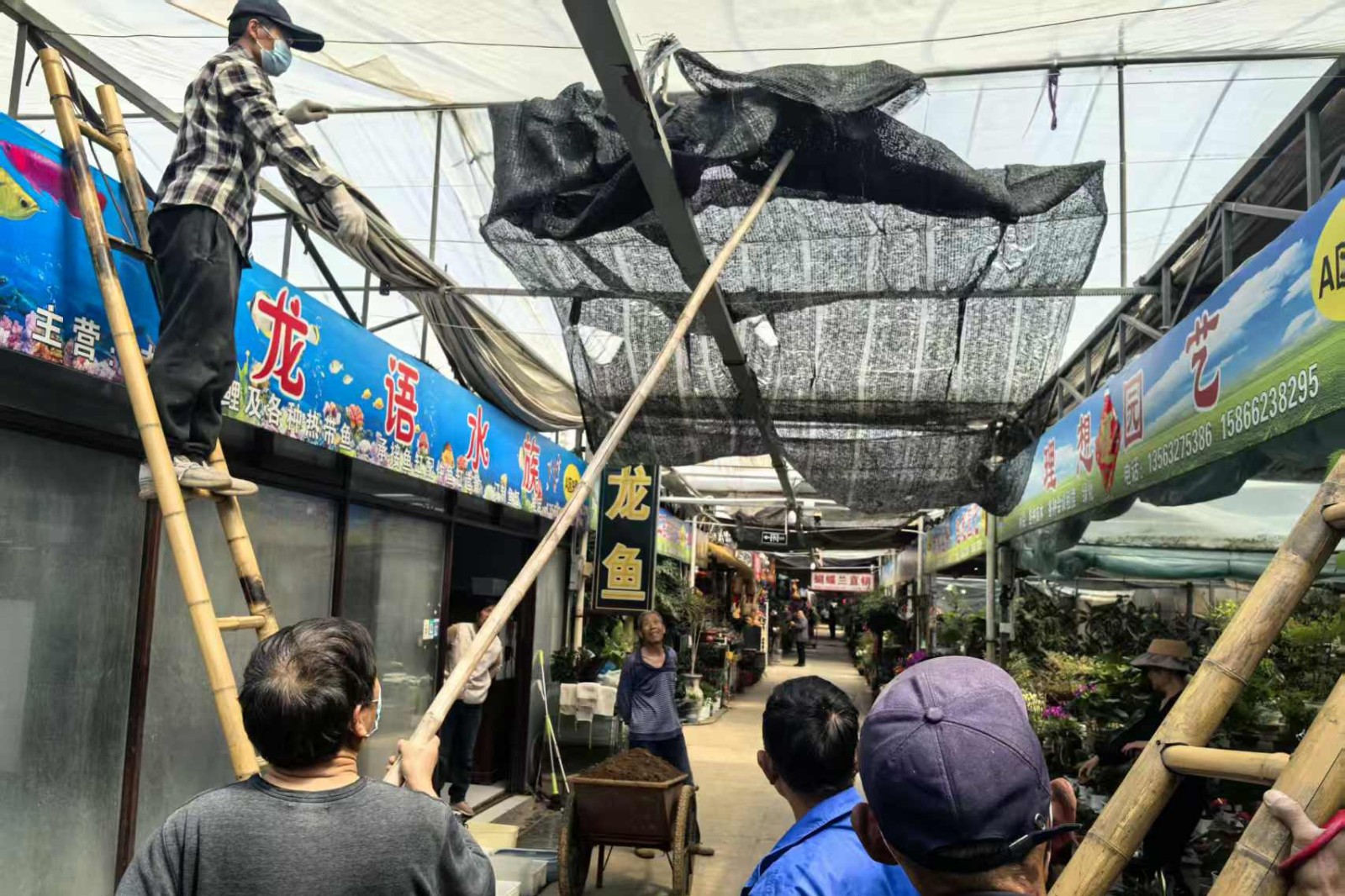 微信图片_2026-06-01_095001_603_副本
