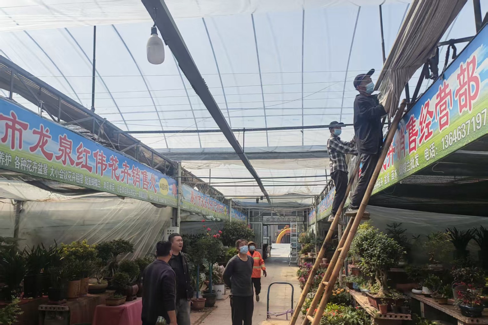 微信图片_2026-06-01_094821_157_副本