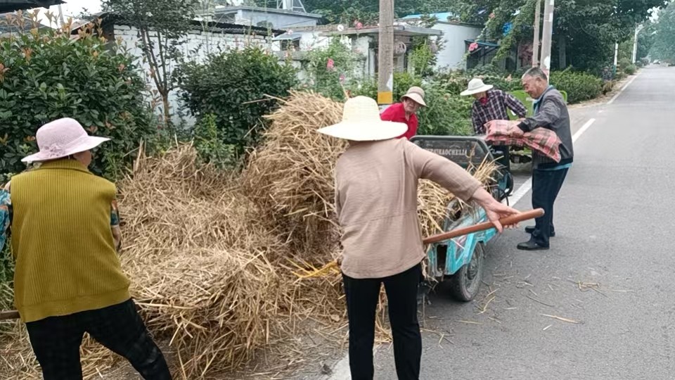 柴胡店村清运秸秆