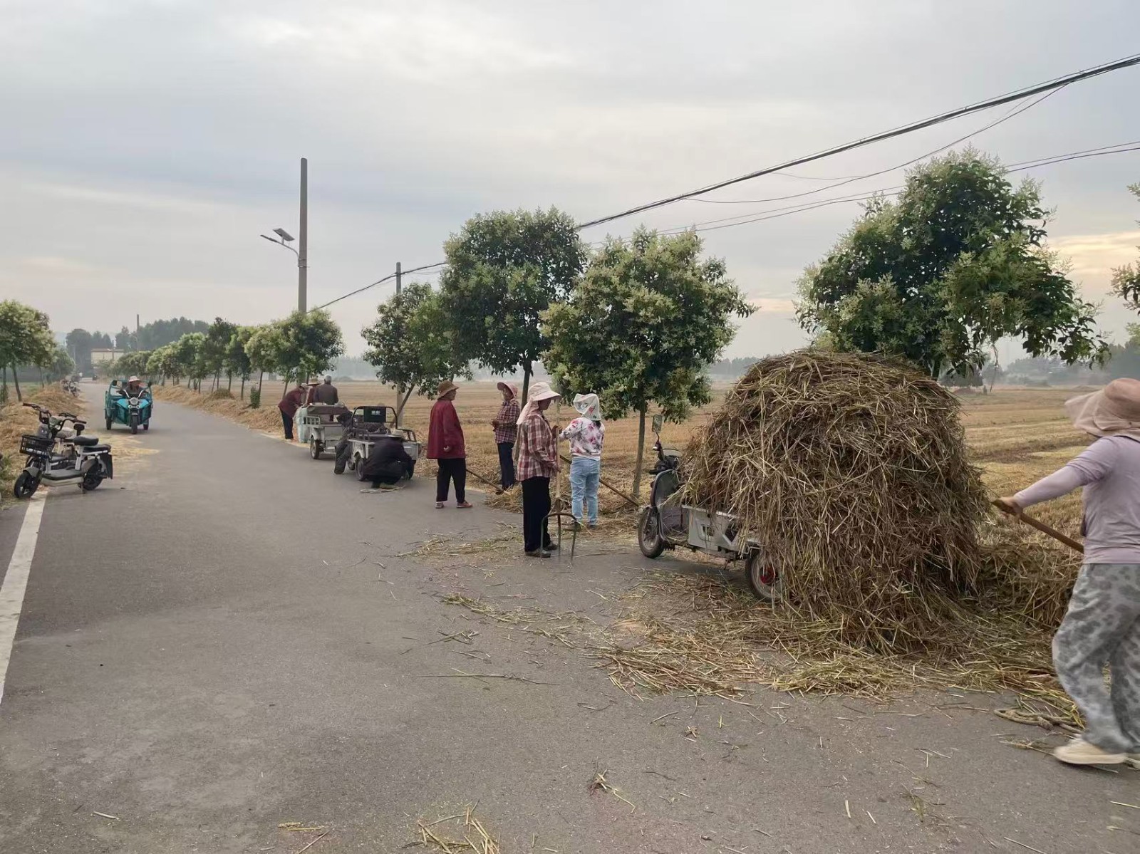 振兴庄村清理道路两侧秸秆