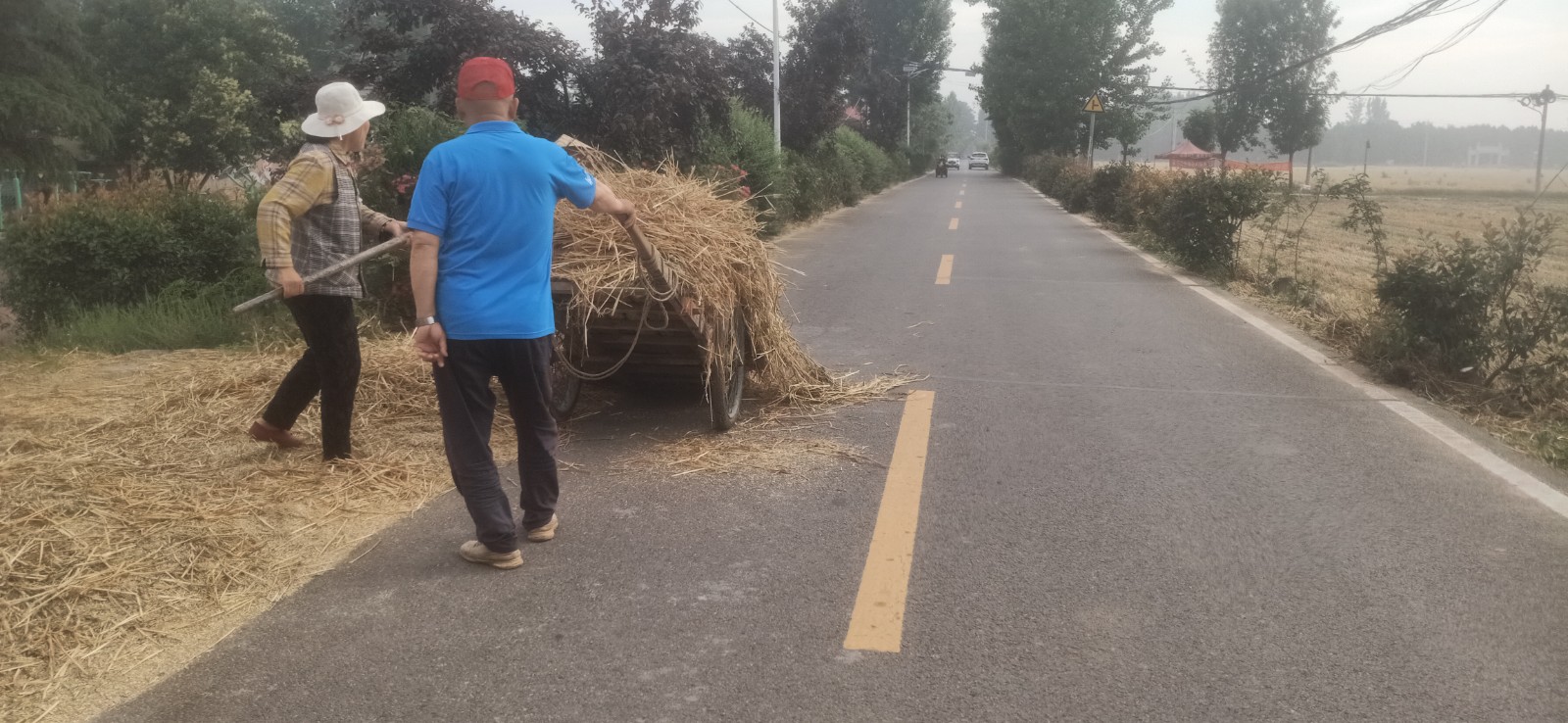鲁庄村清理道路两侧秸秆