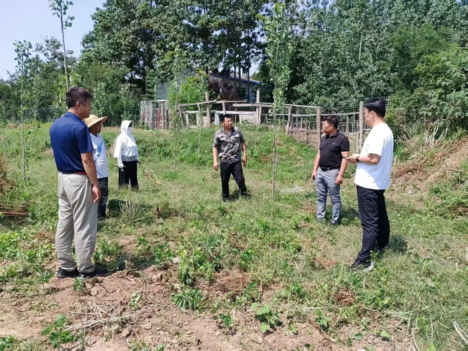 刘斌、孙彦固到高桥村核查集体三资(集体自留地)情况
