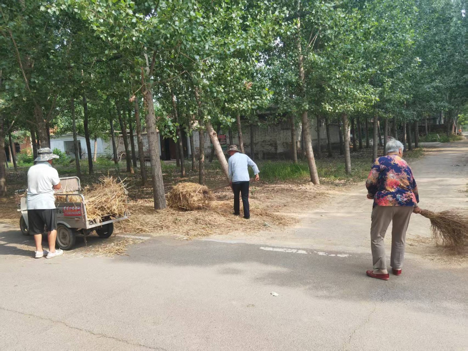 微信图片_20260612153118