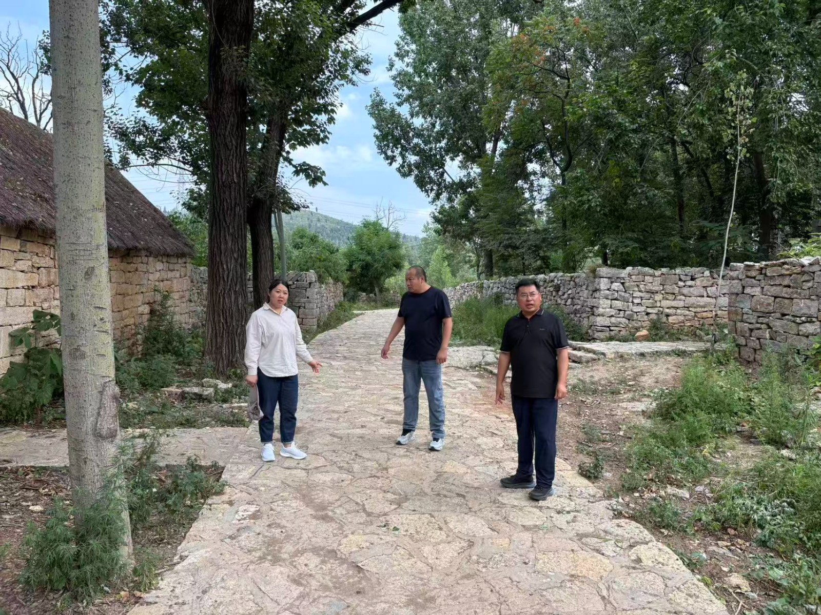 胡镇长到老村