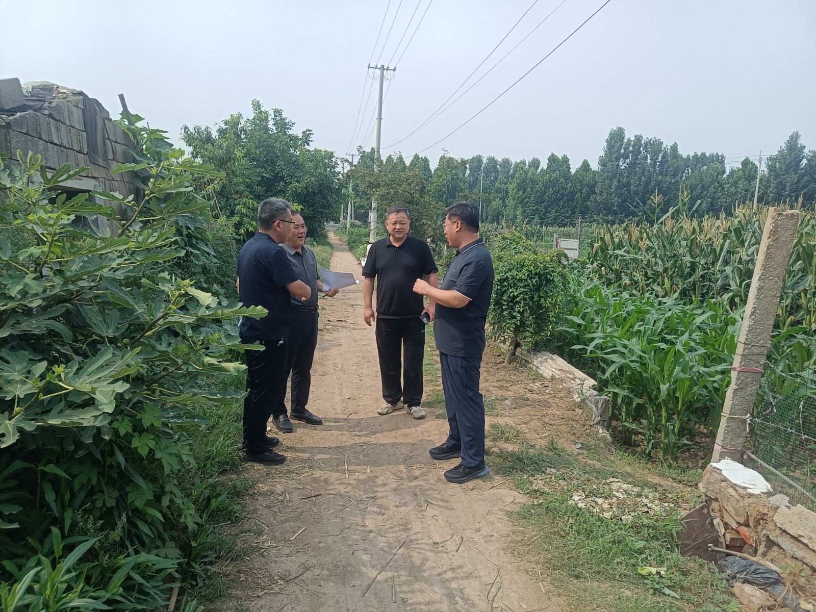 枣庄市自然资源和规划局对我镇存量乱占拆除复耕图斑进行现场核查，胡雷镇长陪同。