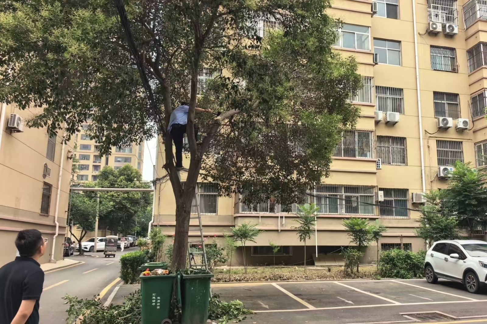 图片25