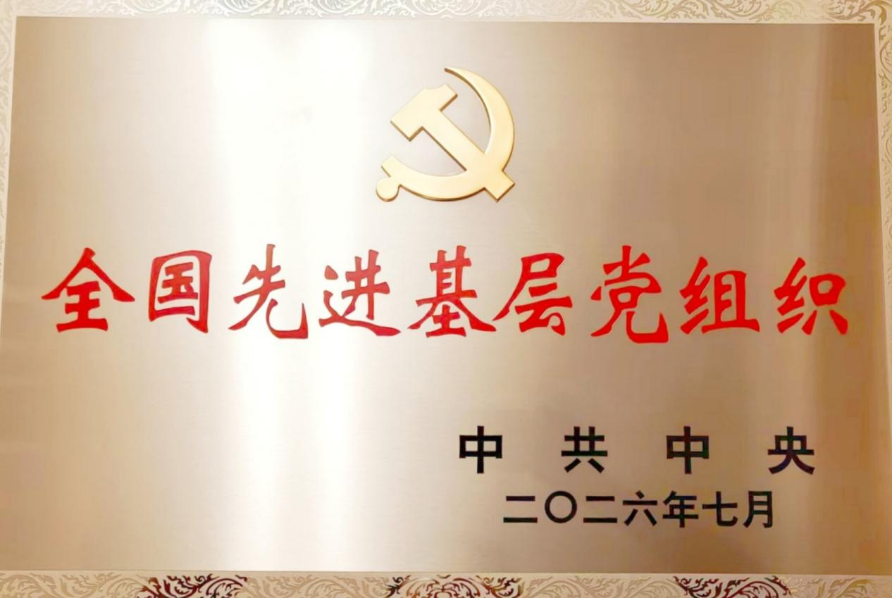 图片19