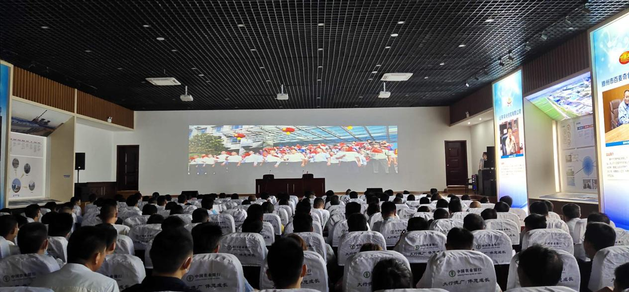 图片21