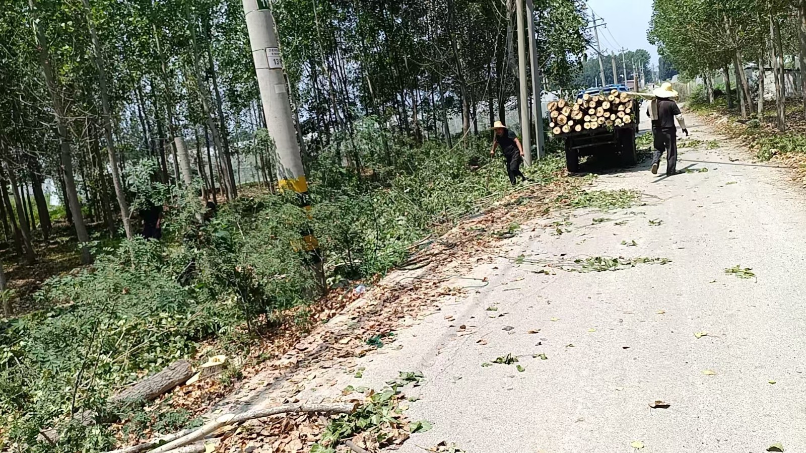 沙庄村清理高压线周边树木