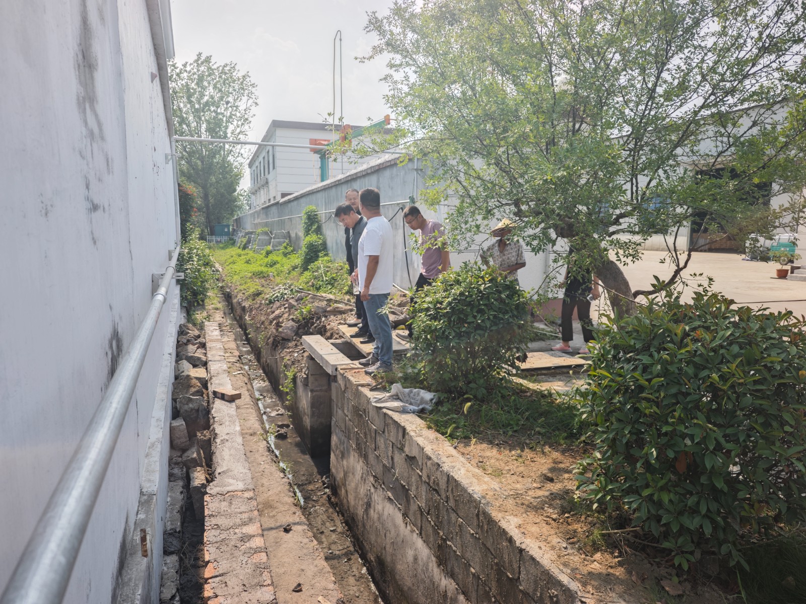 镇领导胡雷实地查看官路口村裕米坊南侧沟渠整治。