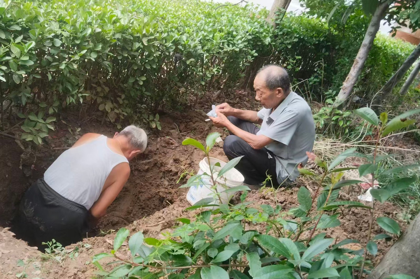 微信图片_20260712170357_7937_1060_副本