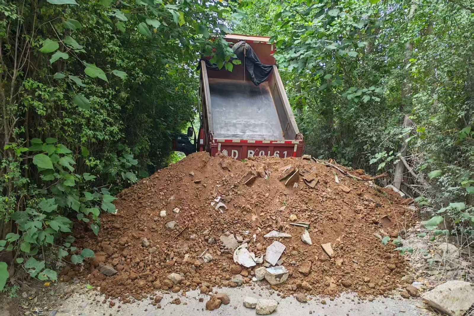 微信图片_20260712130120_11008_248_副本