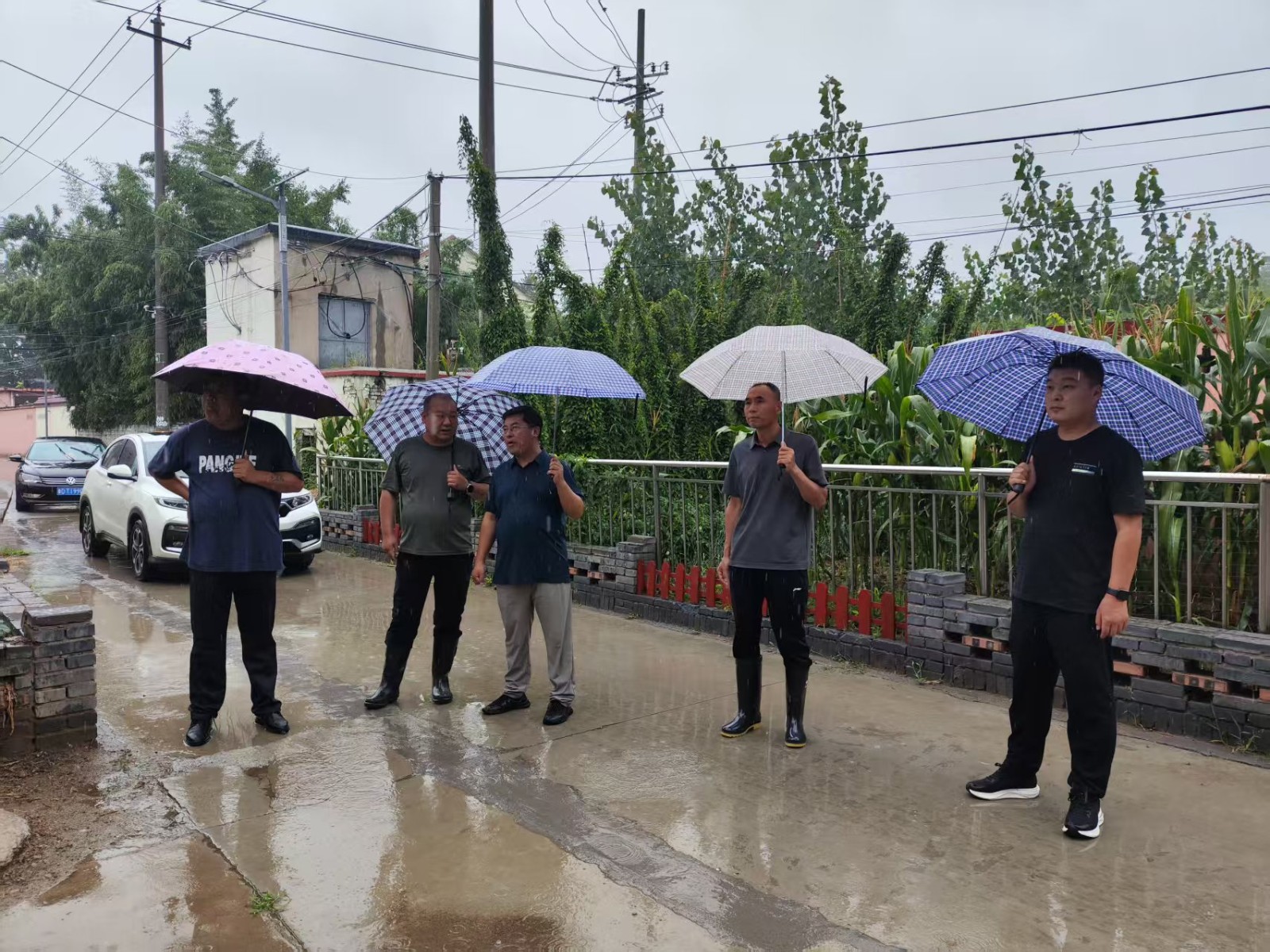 微信图片_20260713110326_9548_1