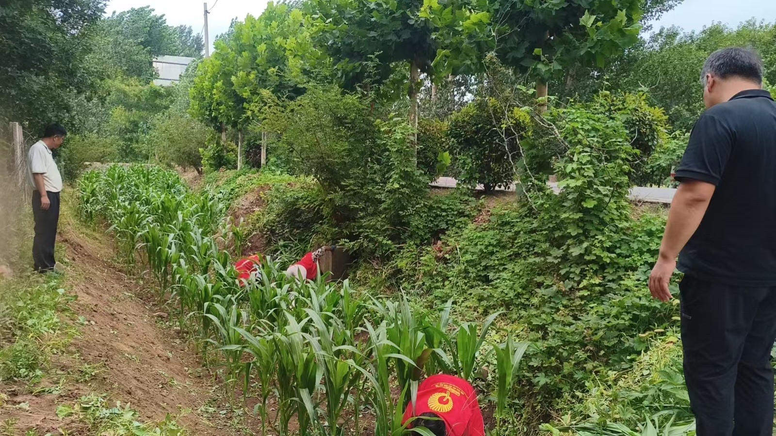 微信图片_20260713114948